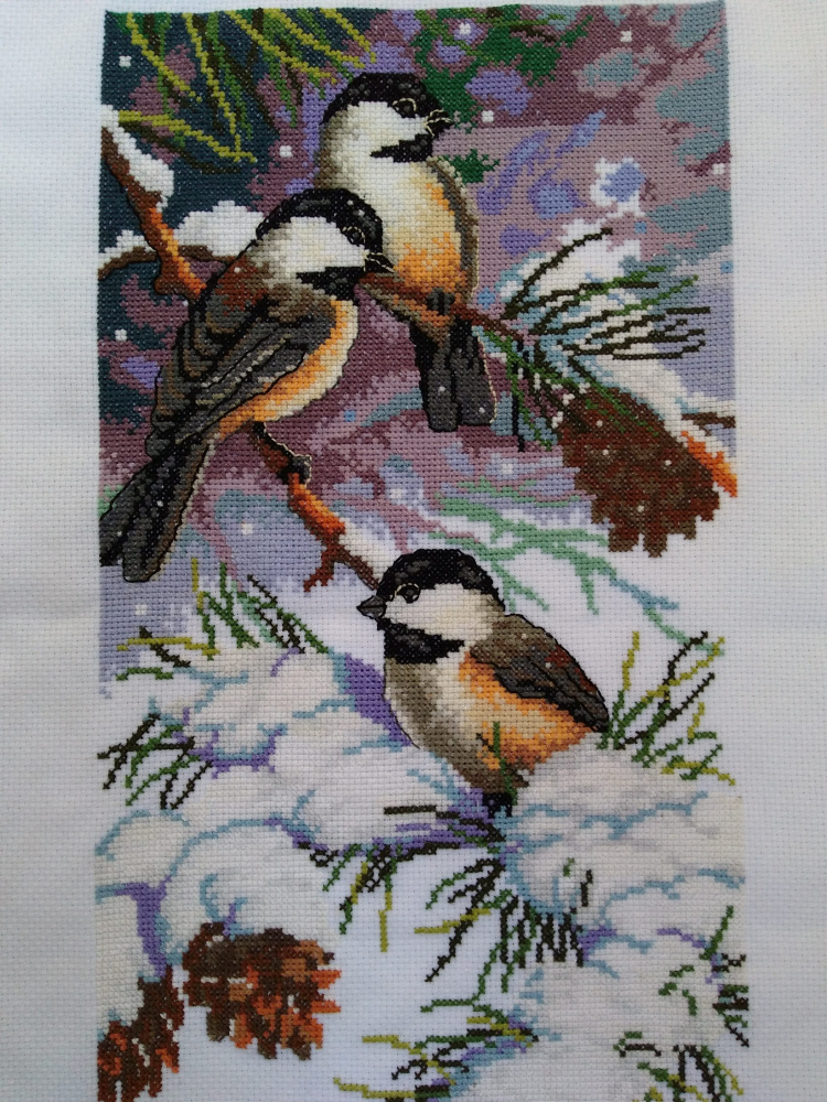 Snow birds Cross stitch