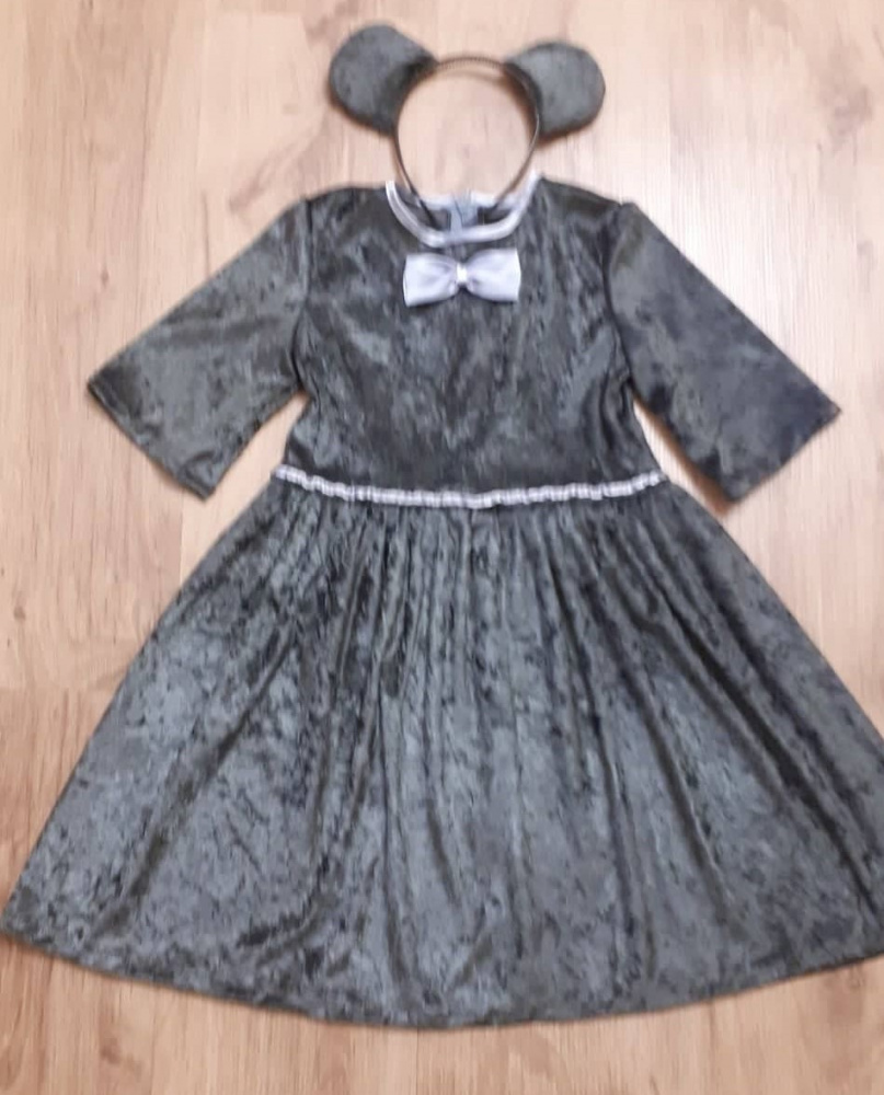 Gray Mouse Carnival Costume for girls