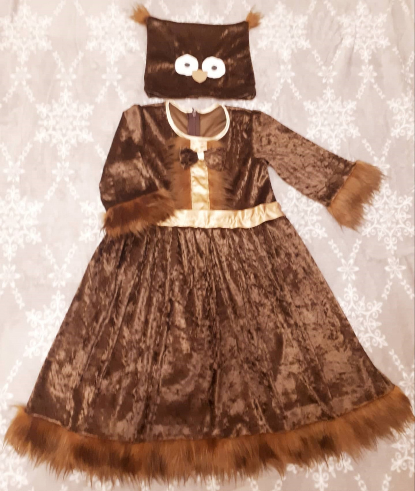 Owl Carnival Costume for Girl