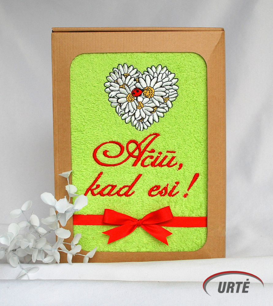 Ačiū, kad esi! Ramunių širdis su boružėle