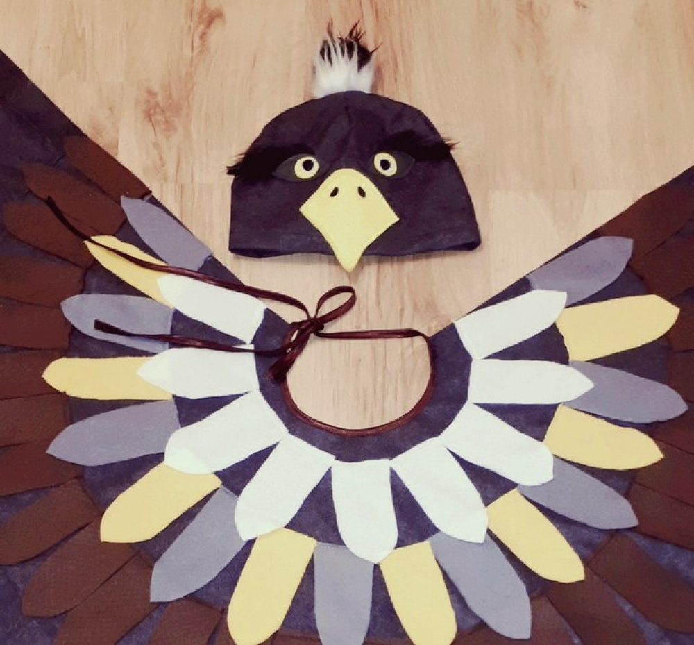 Eagle, hawk carnival costume for kids