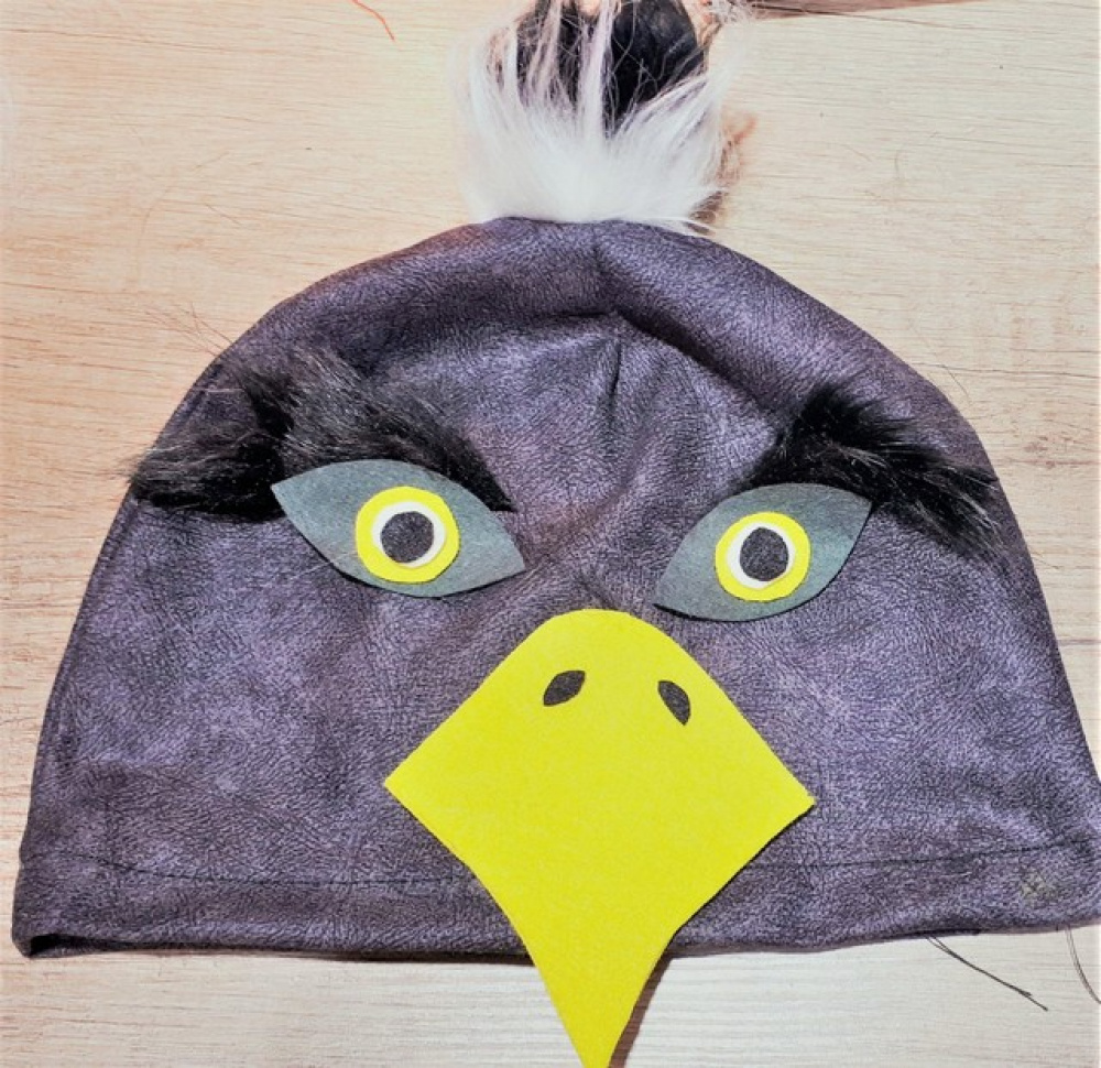 Eagle, hawk carnival costume for kids picture no. 3