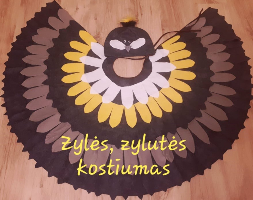 Tit carnival costume for kids: cloak and stylized hat. Other options are available according to your needs and preferences