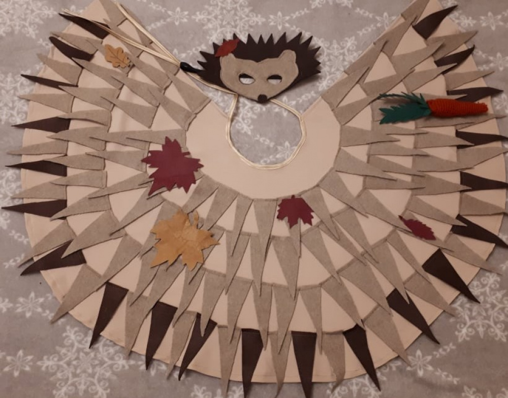 Hedgehog carnival costume for kids