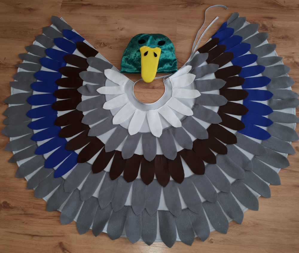Duck carnival costume for kids