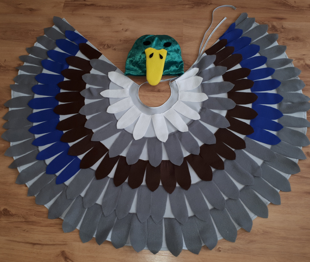 Duck carnival costume for kids