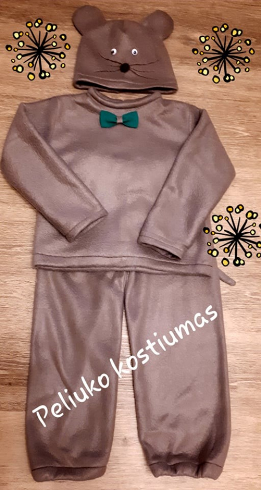 Mouse carnival costume