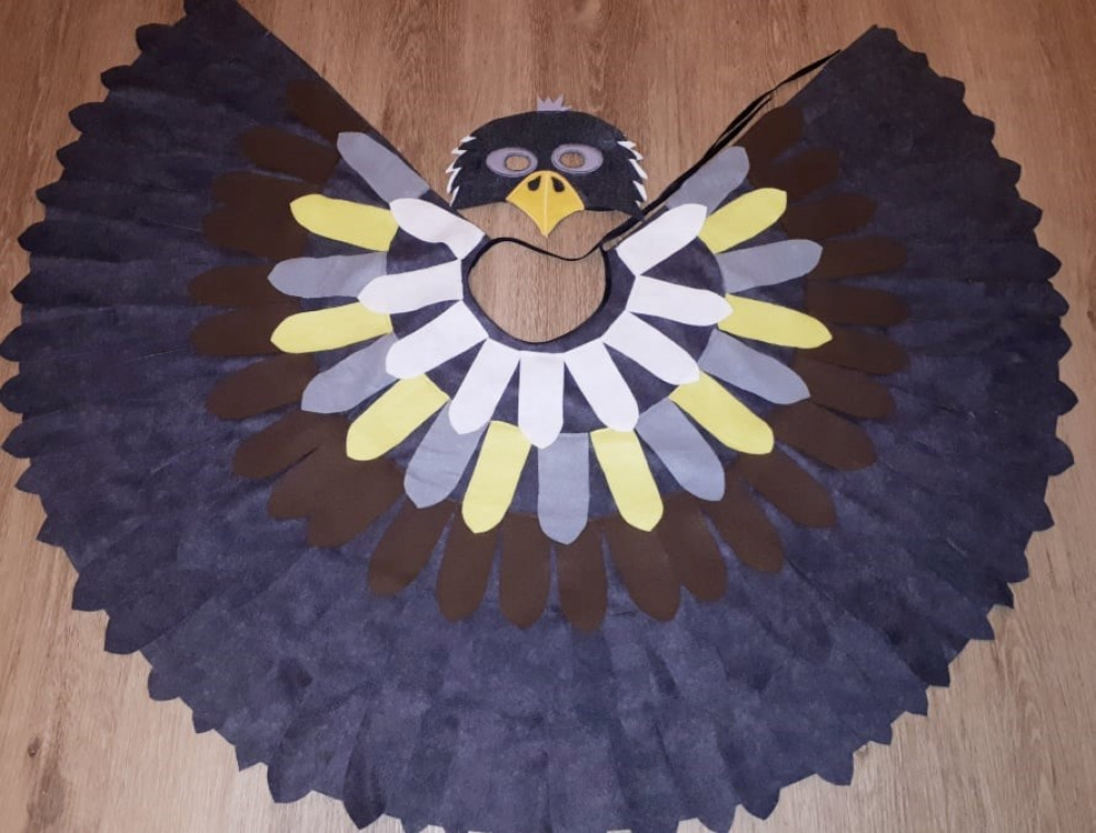 Hawk, eagle, falcon, bird carnival costume for kids