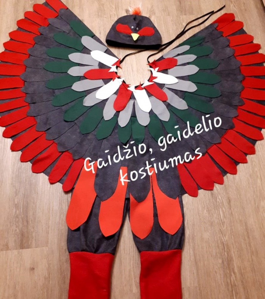 Rooster carnival costume for kids