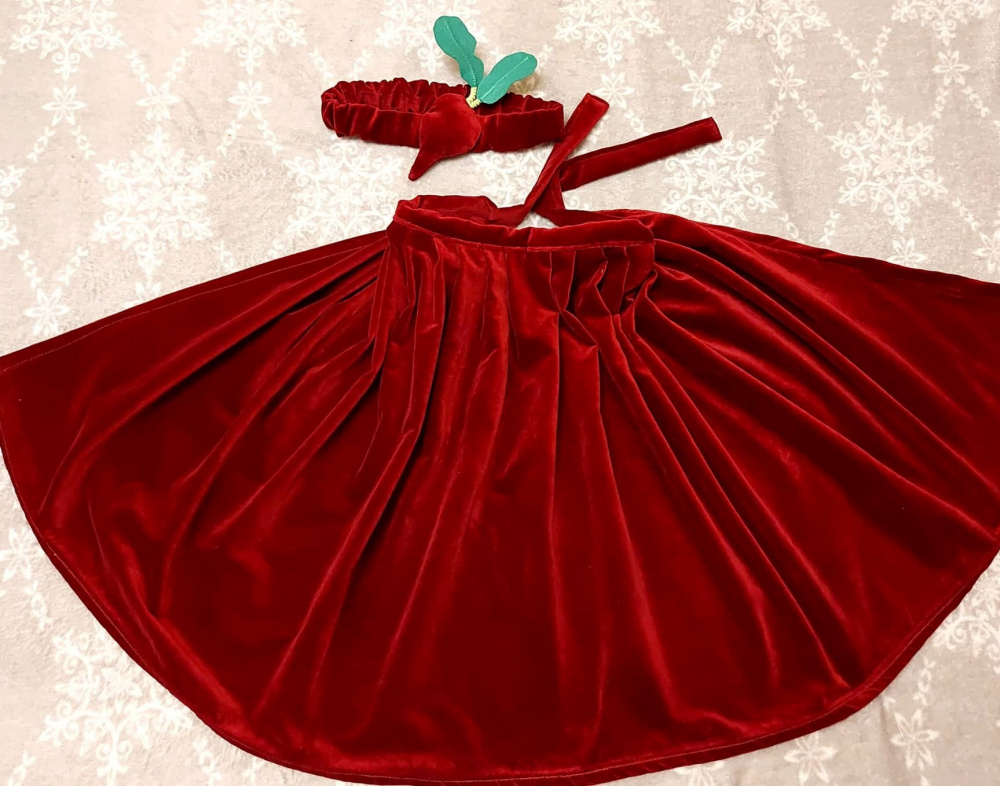 Beet, radish carnival costume for kids