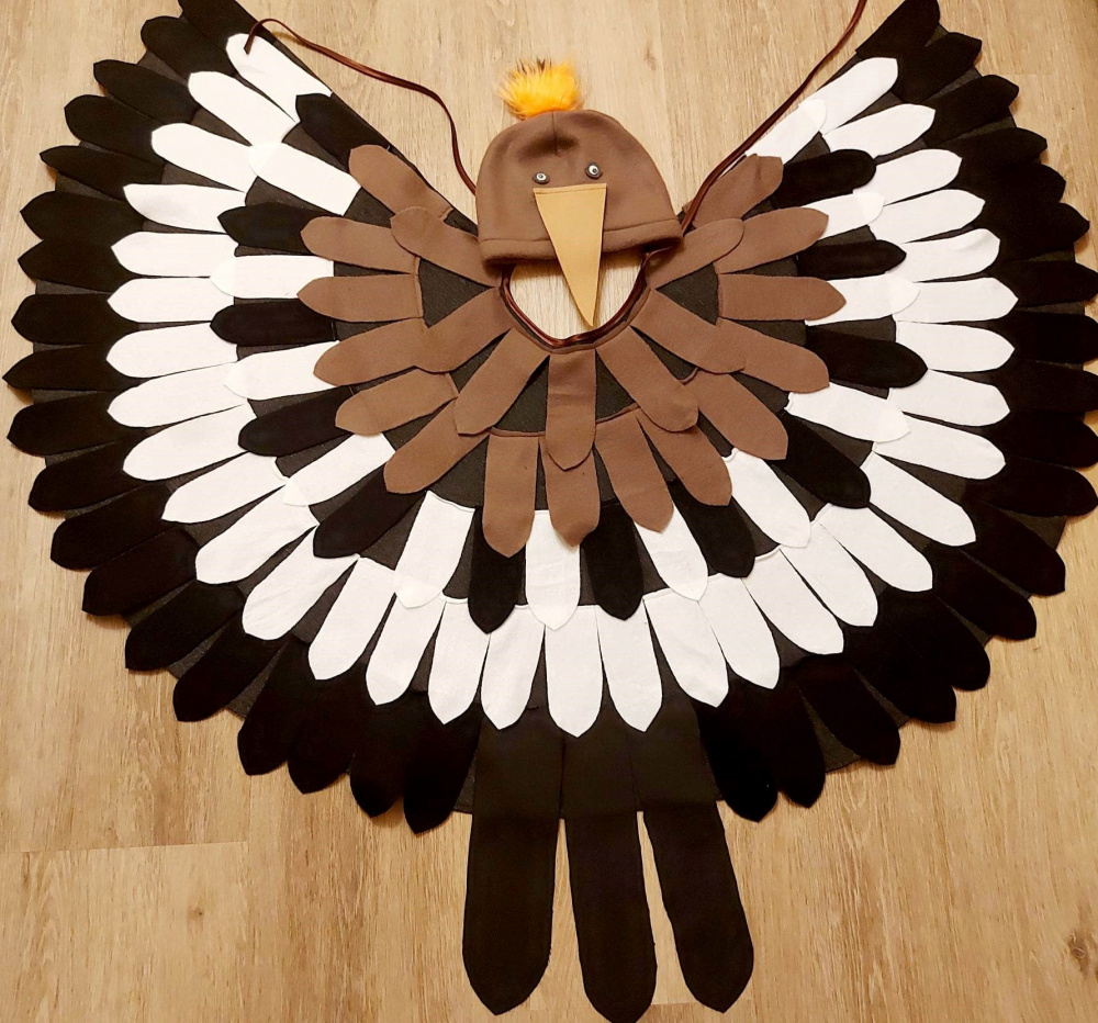 Upupa epops, bird's carnival costume for kids