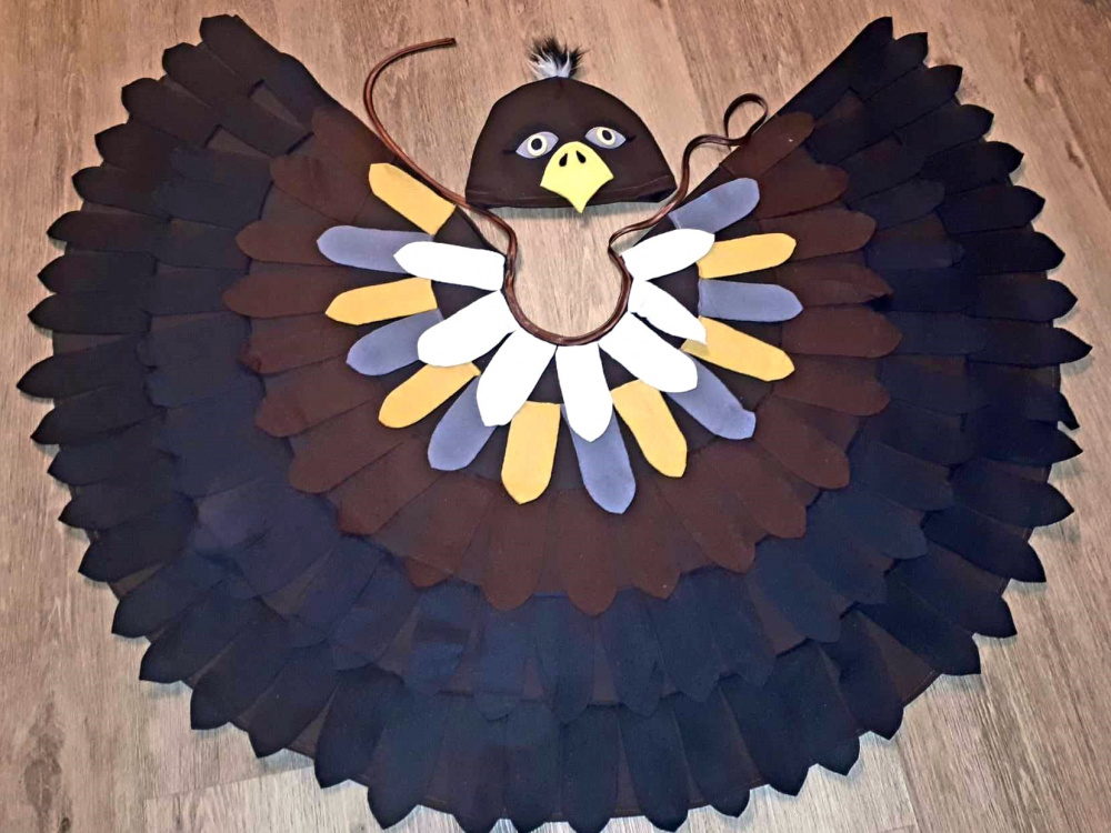 Hawk, eagle, bird children's carnival costume