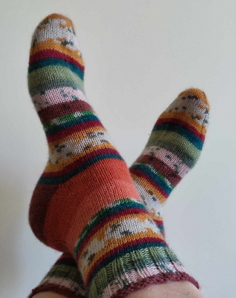 wool collor knitting socks
