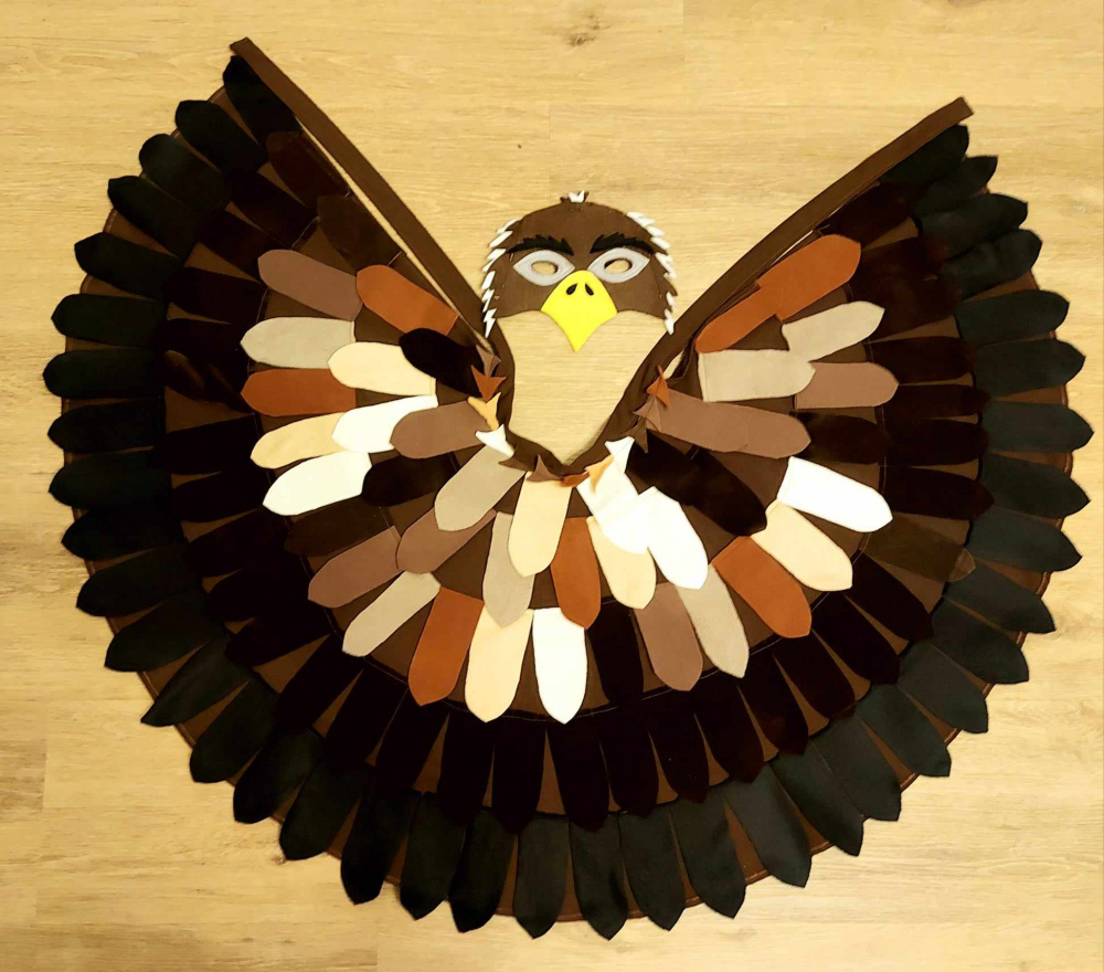 Hawk, eagle, bird children's carnival costume