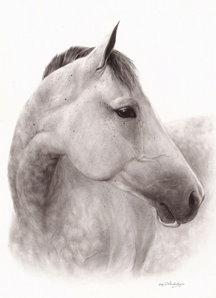 Syara Oil painting