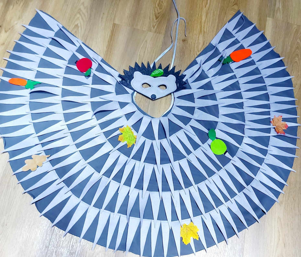 Hedgehog carnival costume for kids