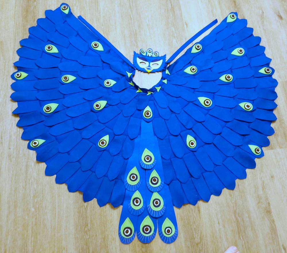 Peacock carnival costume for kids