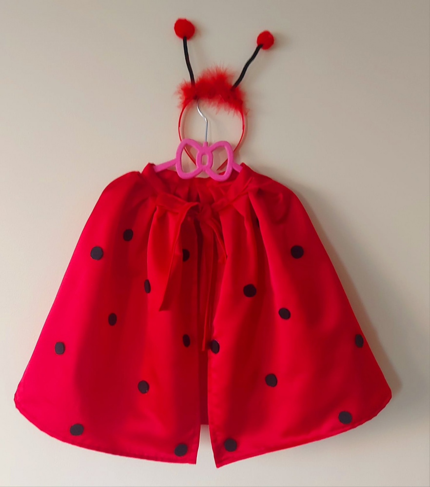 Ladybug carnival costume for kids