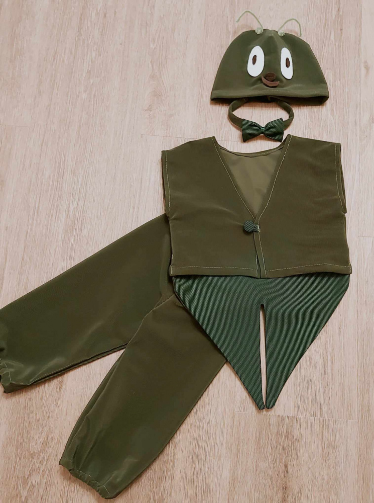 Children's carnival costume of grasshopper, beetle