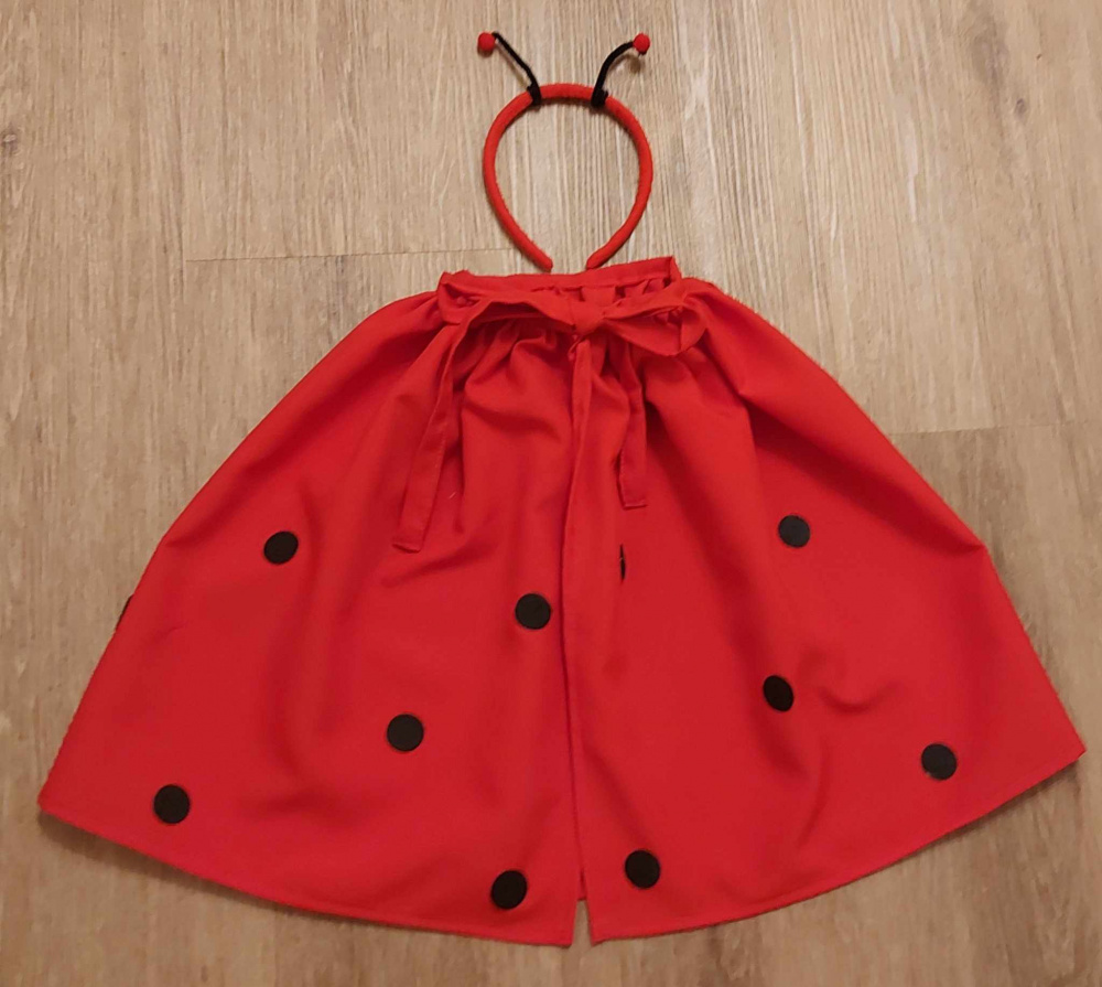 Ladybug costume for kids