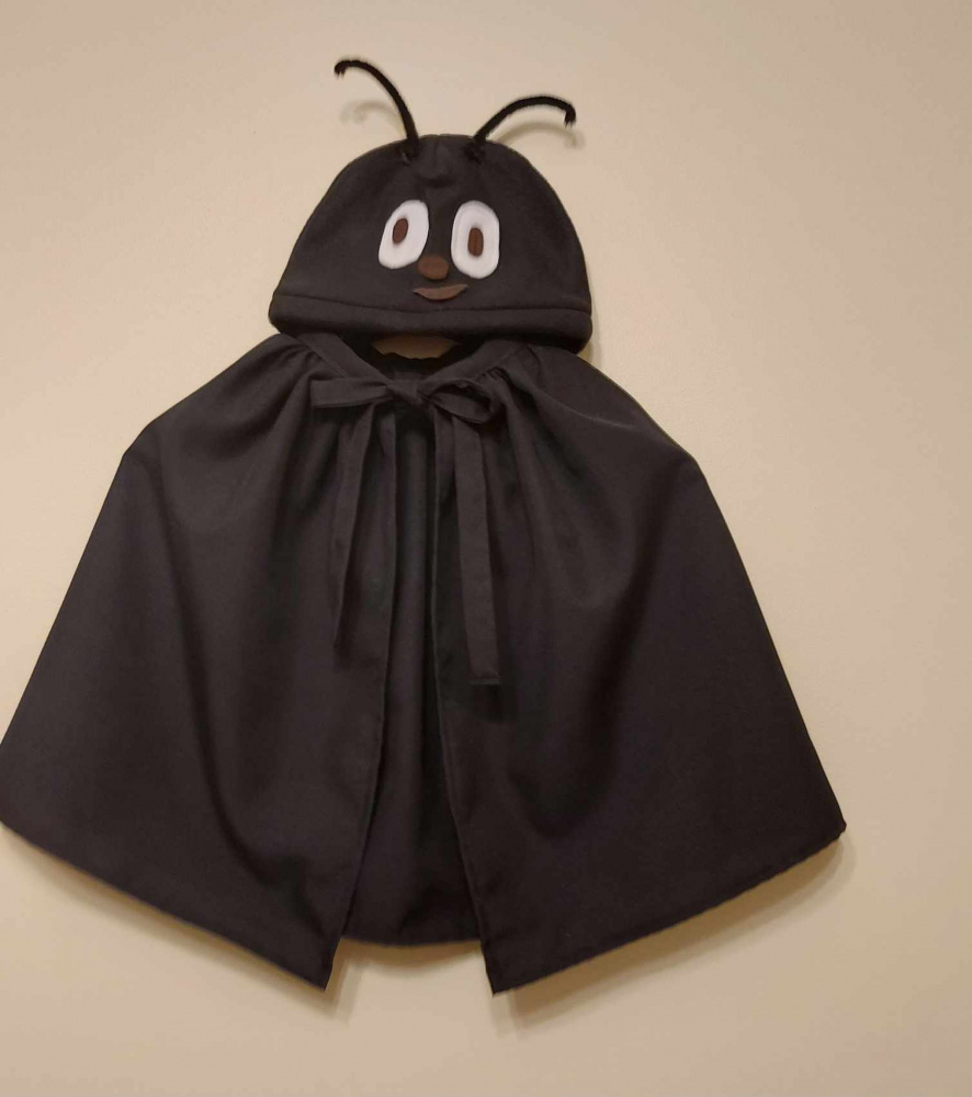 Kids carnival costume of a beetle, ant