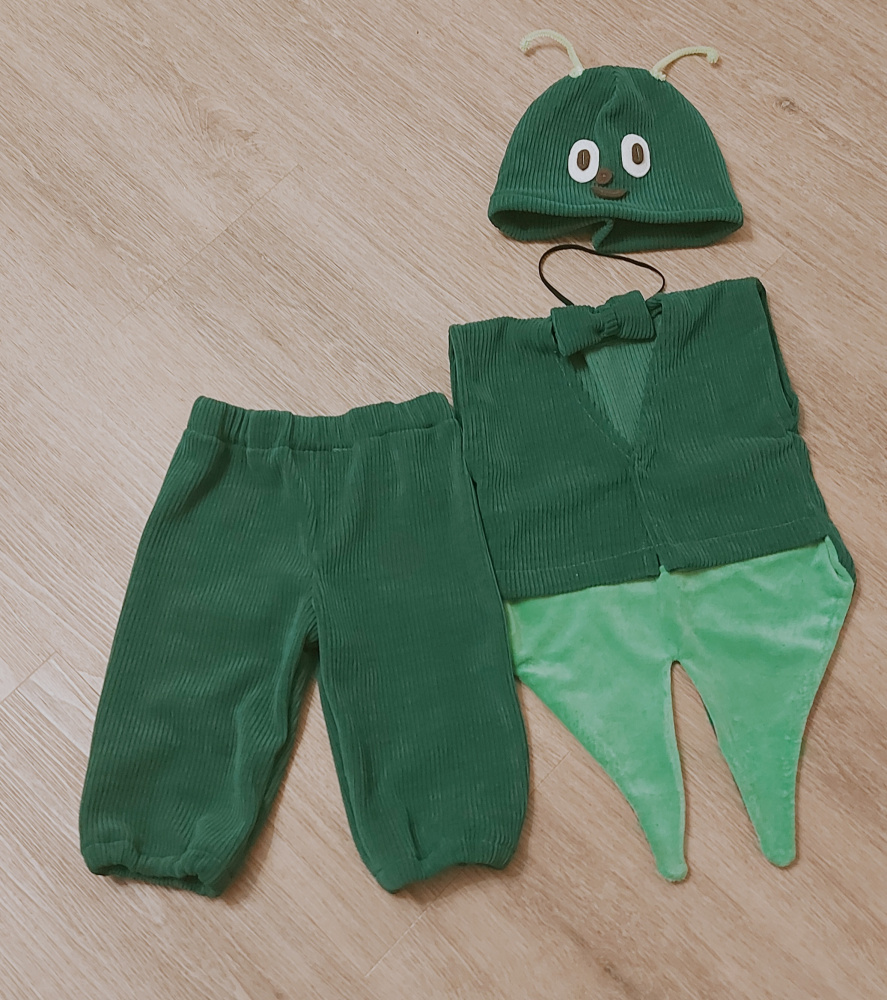 Grasshopper, beetle costume for kids picture no. 2