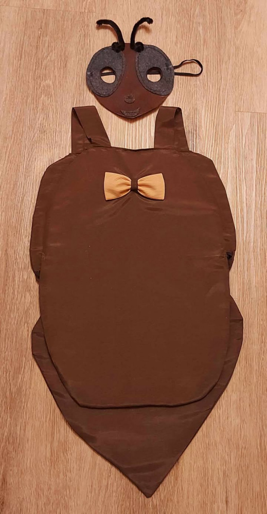Ant, beetle carnival costume