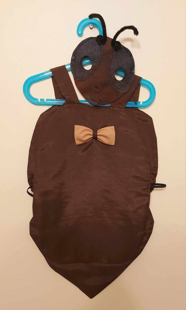 Ant, beetle carnival costume picture no. 3