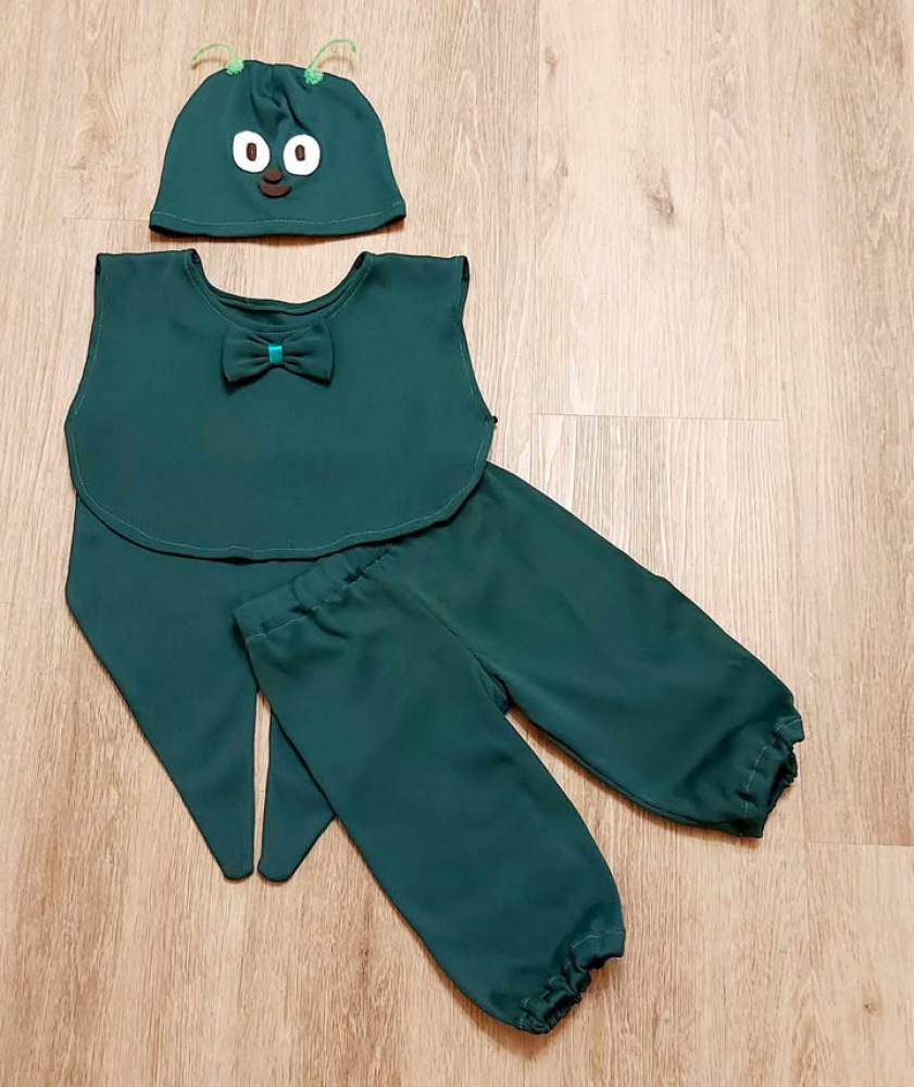 Grasshopper, beetle costume