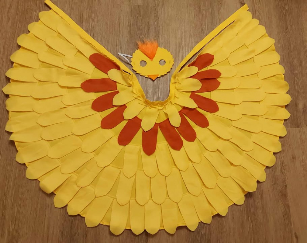 Chicken, duckling carnival costume for children picture no. 2