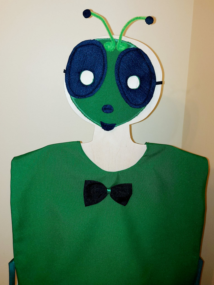 Grasshopper, beetle costume for kids picture no. 2