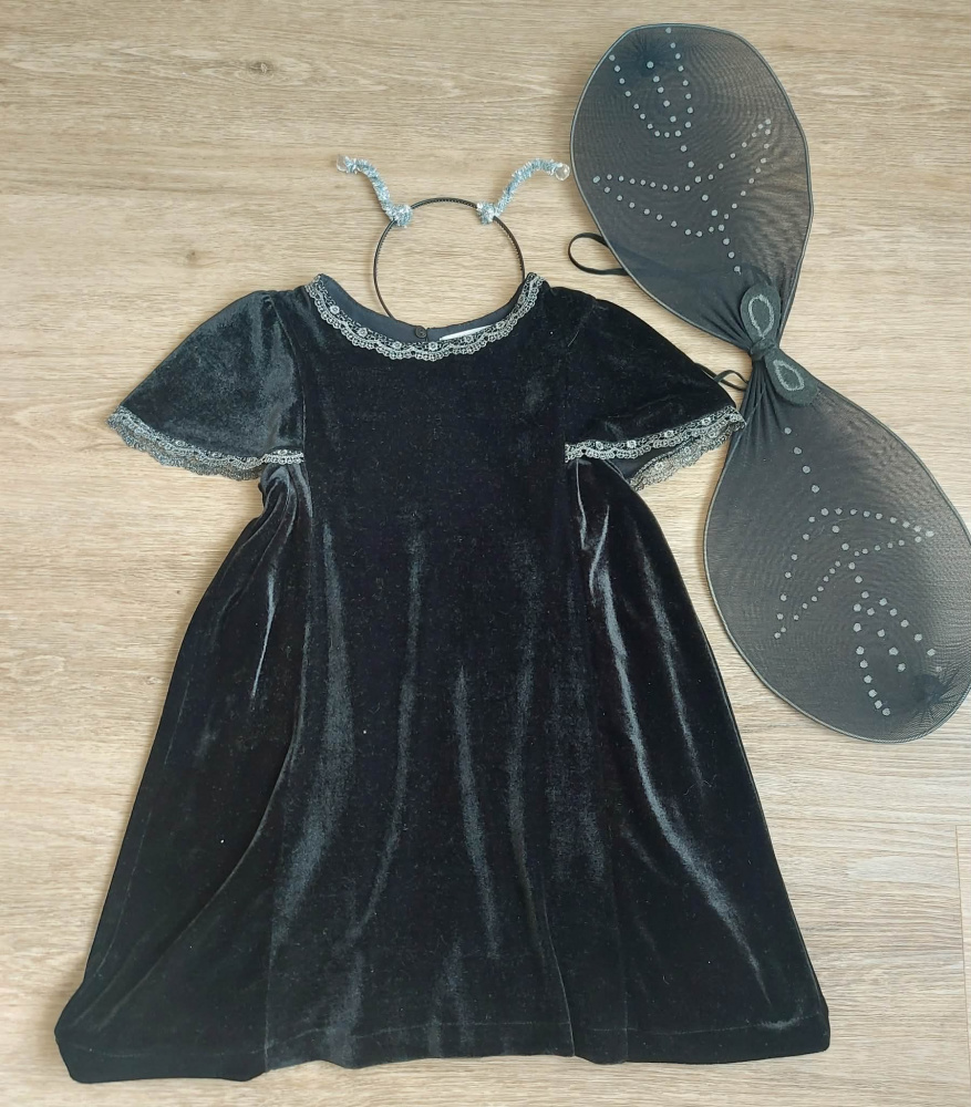Fly, beetle costume for girl