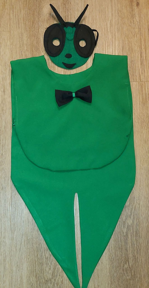 Grasshopper, beetle costume for kids