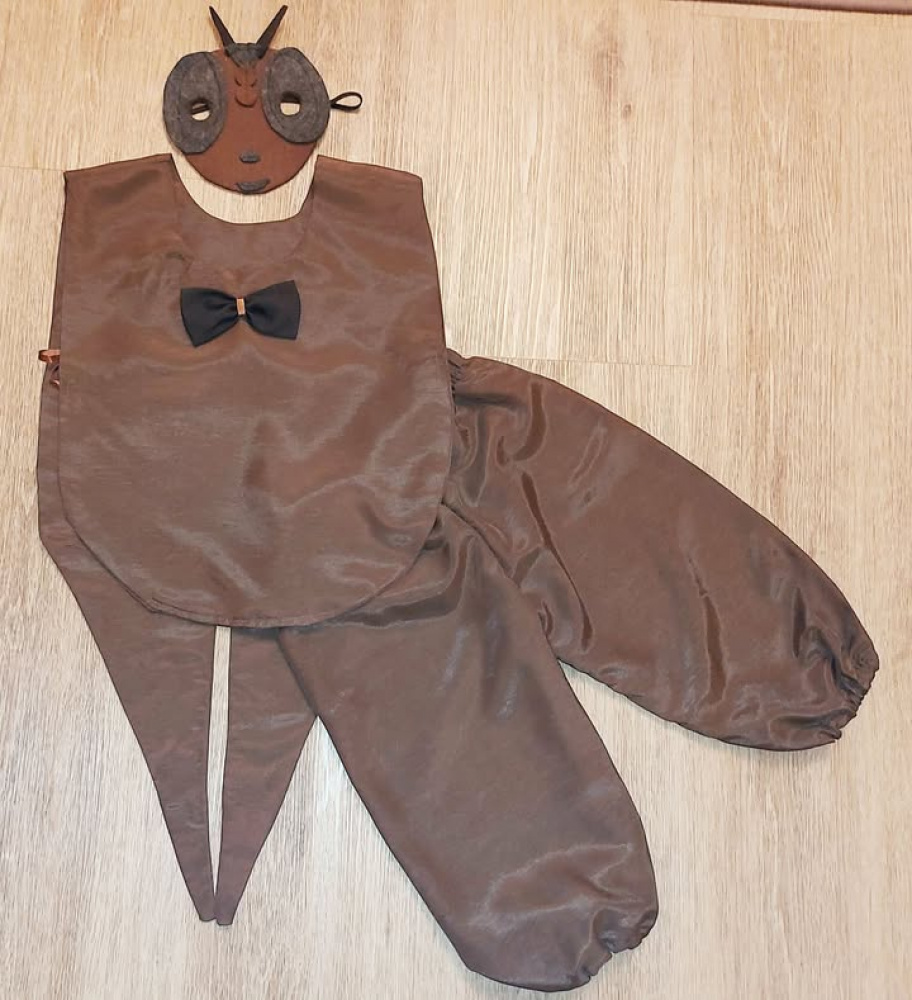 Beetle costume for kids