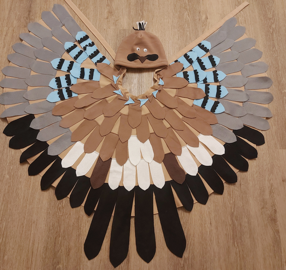 Jay (bird) carnival costume for kids picture no. 2