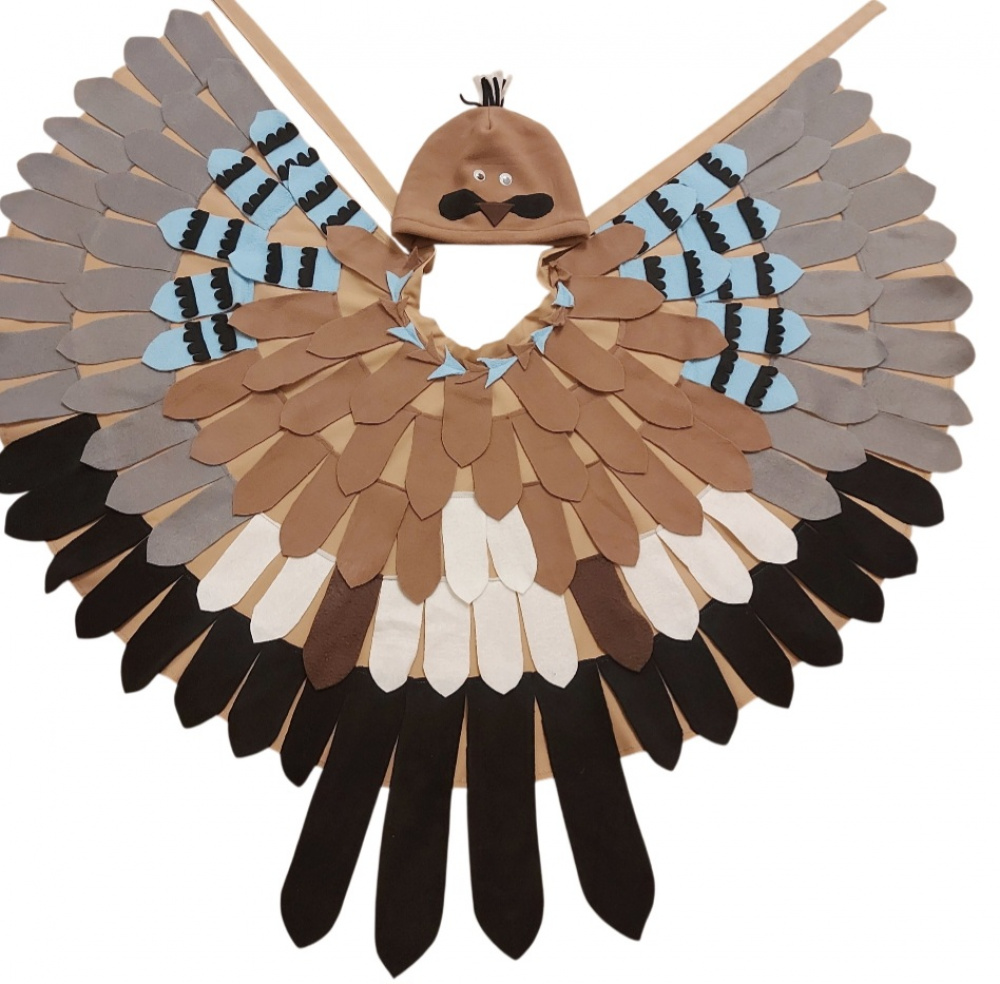 Jay (bird) carnival costume for kids