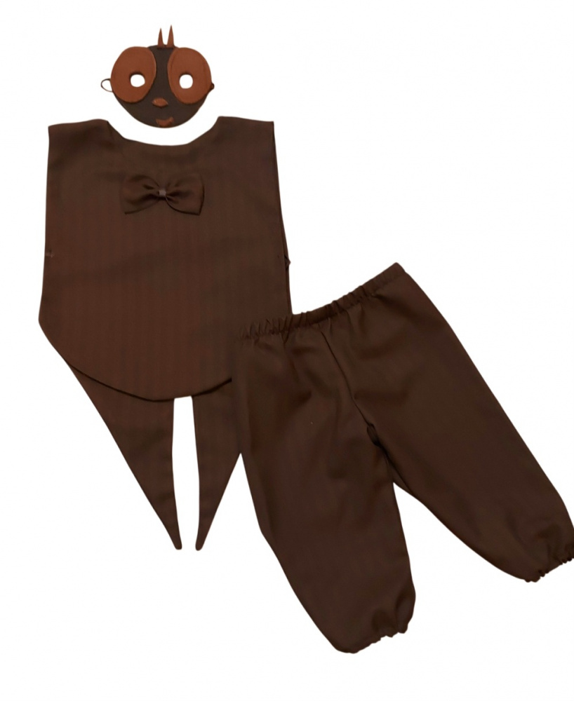 Beetle, ant carnival costume for kids