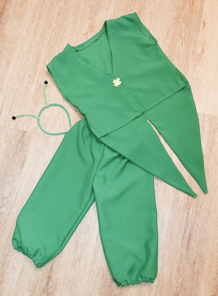 Grasshopper, beetle costume