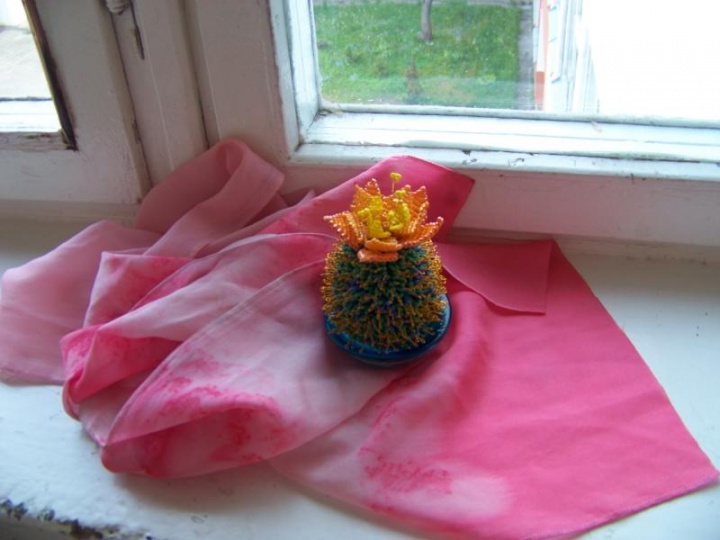 cactus