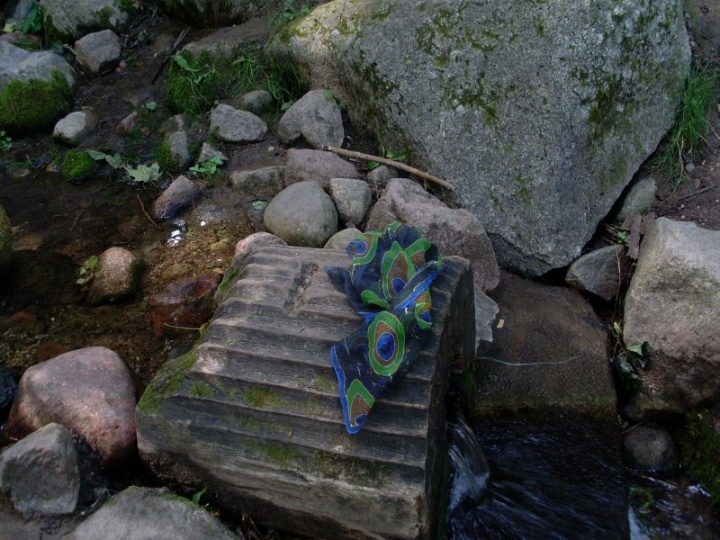 Peacock