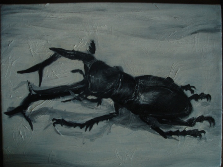 " Lucanus cervus akbesianus "