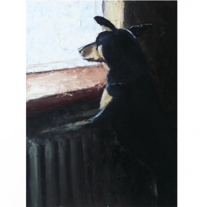 " Dog in the window "