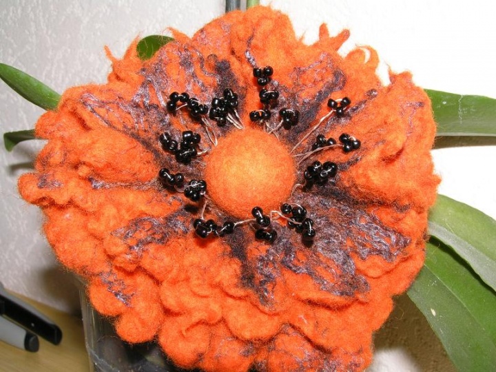 Orange-black