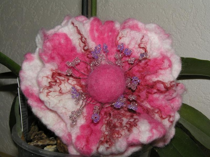 The pink-and-white