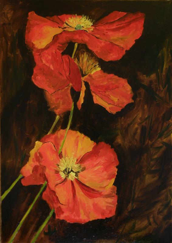 Poppy Night