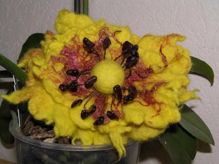 Yellow
