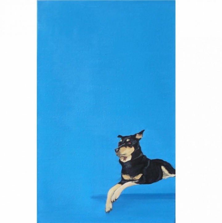 " dog on a blue background "