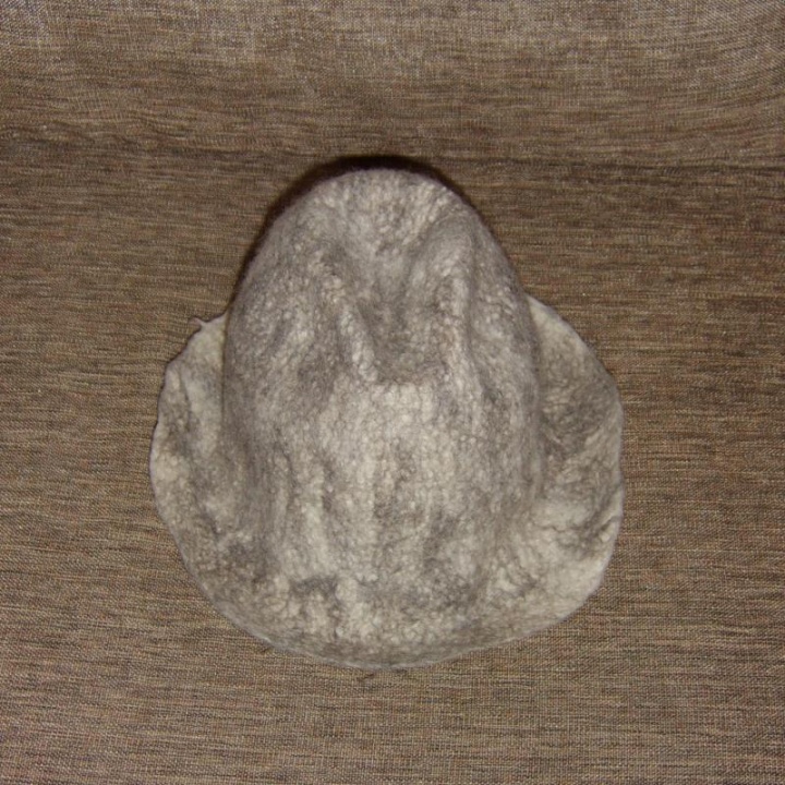 Pirtinukė - skryblė