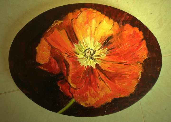 Poppy III