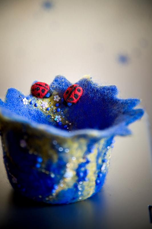ladybirds lawn